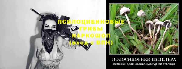 эйфоретик Белокуриха