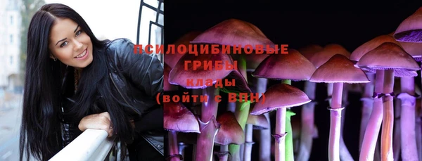 эйфоретик Белокуриха