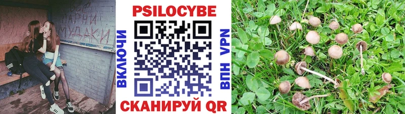 Псилоцибиновые грибы Psilocybine cubensis  mega маркетплейс  Цоци-Юрт 