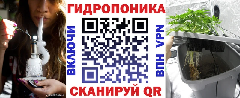 даркнет сайт Цоци-Юрт Бошки Шишки индика